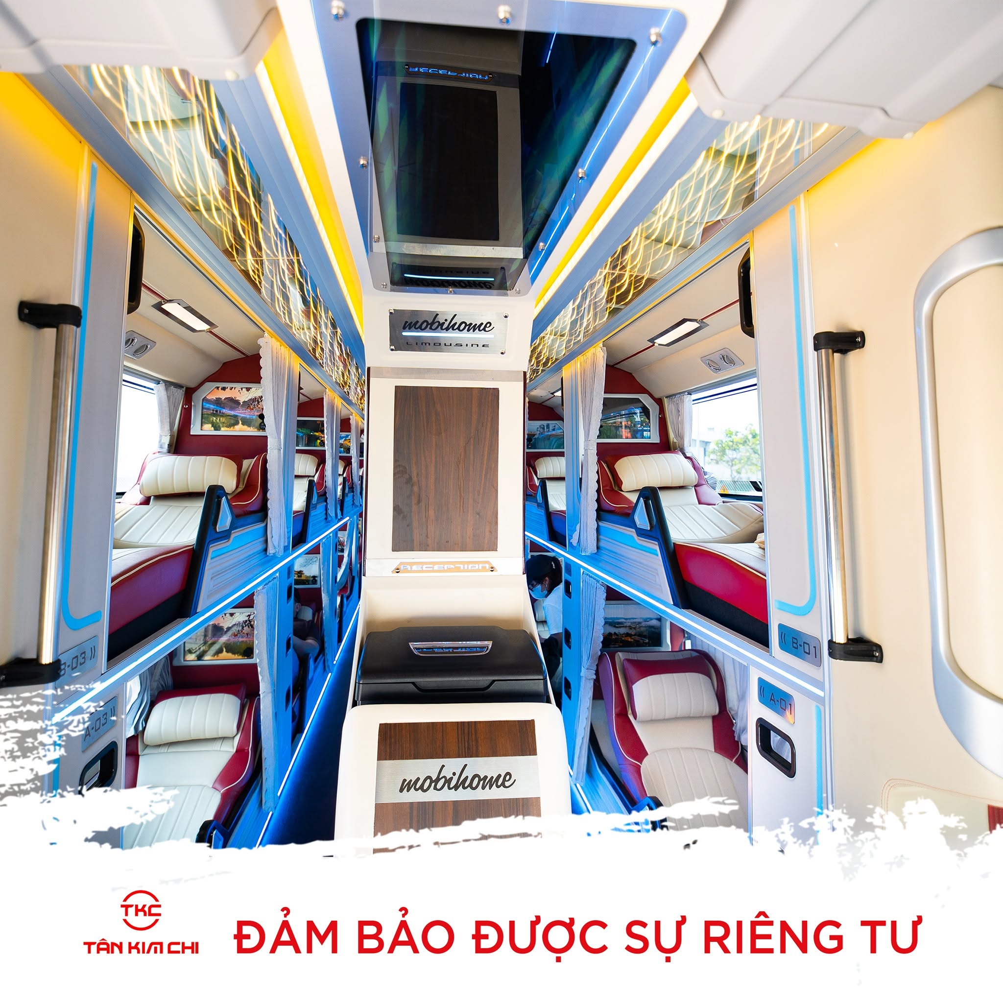 Hình ảnh Tân Kim Chi